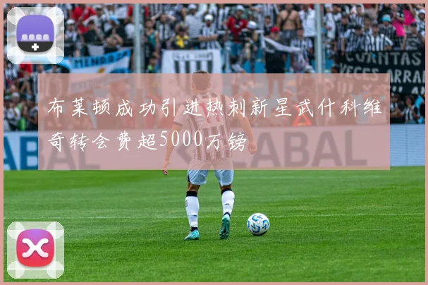 布莱顿成功引进热刺新星武什科维奇转会费超5000万镑